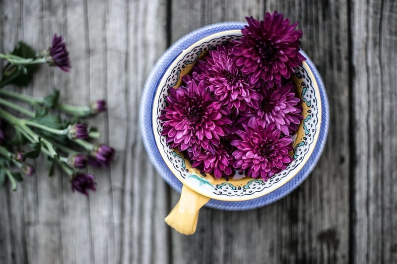 Flowers in Vase