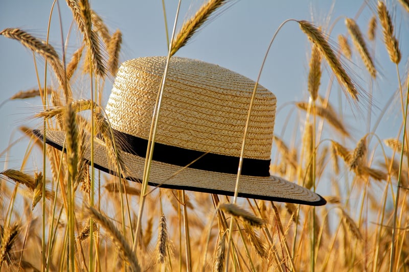 Straw Accessories
